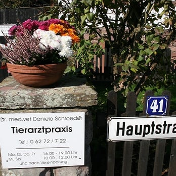 Dr.med.vet. Daniela Schroeder Tierärztin