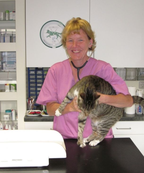 Kleintierpraxis Dr. med.vet. Barbara Müller