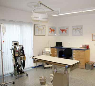 Dr. med.vet. Wolfgang Hipp