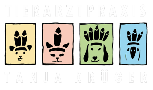 Tierarzt Krüger