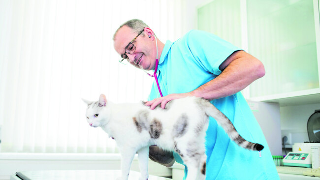 Dr.med.vet. Georg Dambacher Tierarzt