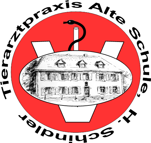 Tierarztpraxis Schindler, Praxis in der Alten Schule und Vetmobil