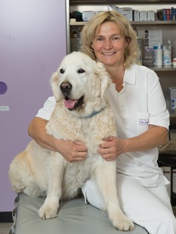 Tierarzt Malsch - Anna Daum & Team