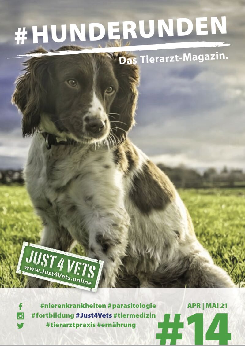 Zentrum für Tiergesundheit, Tierarztpraxis