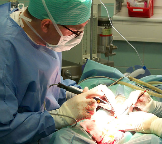 Tierärztliche Praxis für Kleintiere Dr. Schmitz