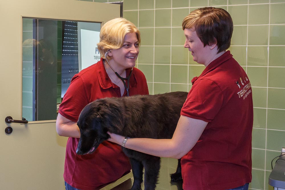 Dr.med.vet. Daniella Schäfer Tierärztin