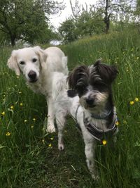 Dr. Eva Bonfert und Dr. Volker Bonfert