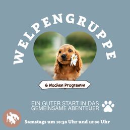 Dr.med.vet. Roland Erath Tierklinik