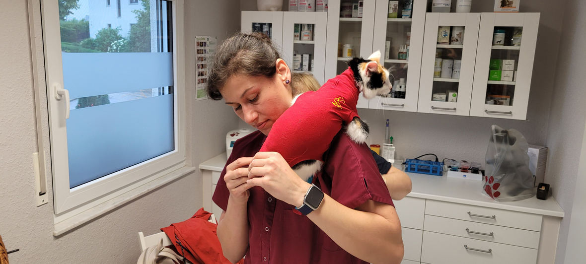 Tierarztpraxis Dr. med. vet. Eva-Maria Harré-Molineux