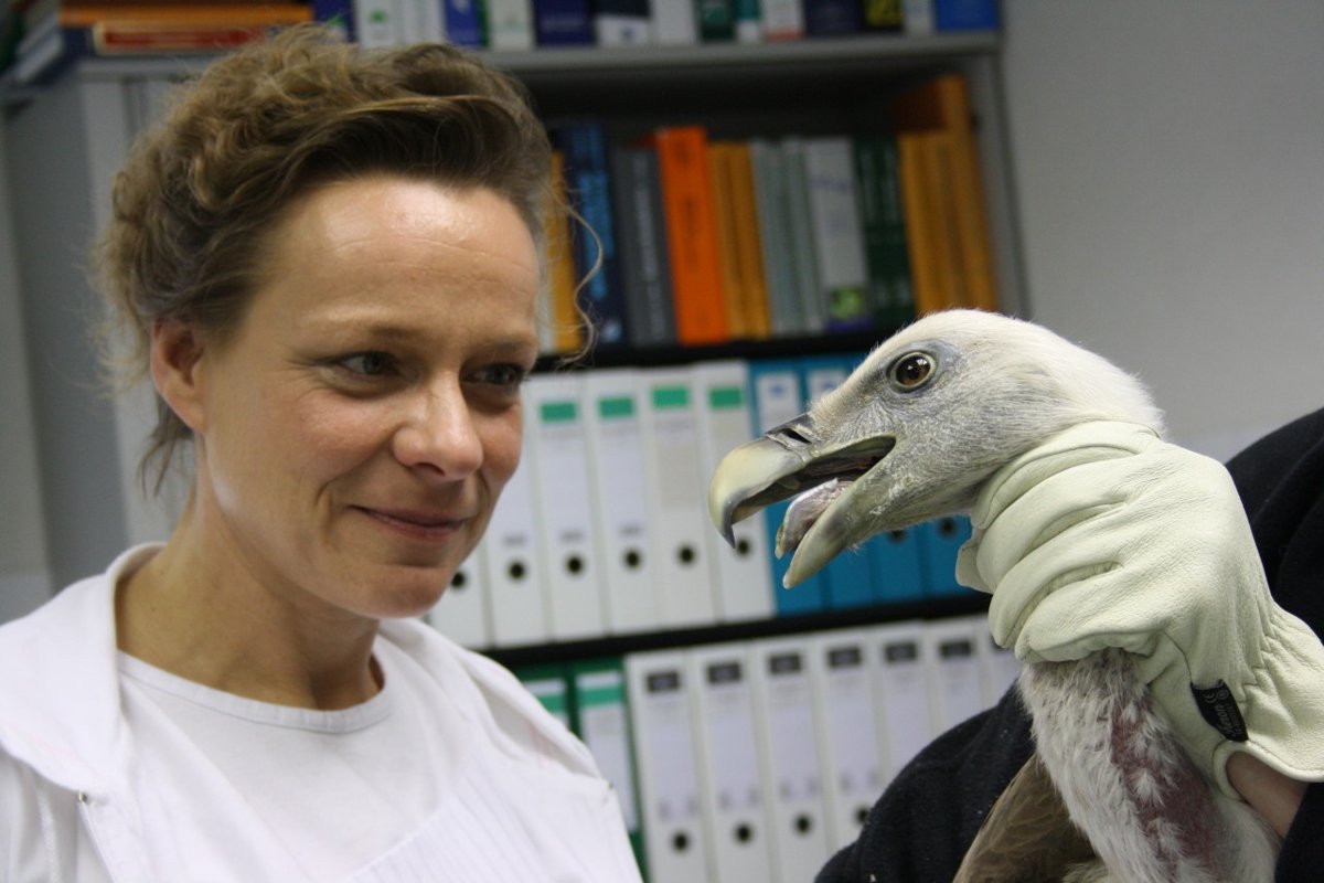 Dr. med. vet. Constanze Schmette Tierärztin