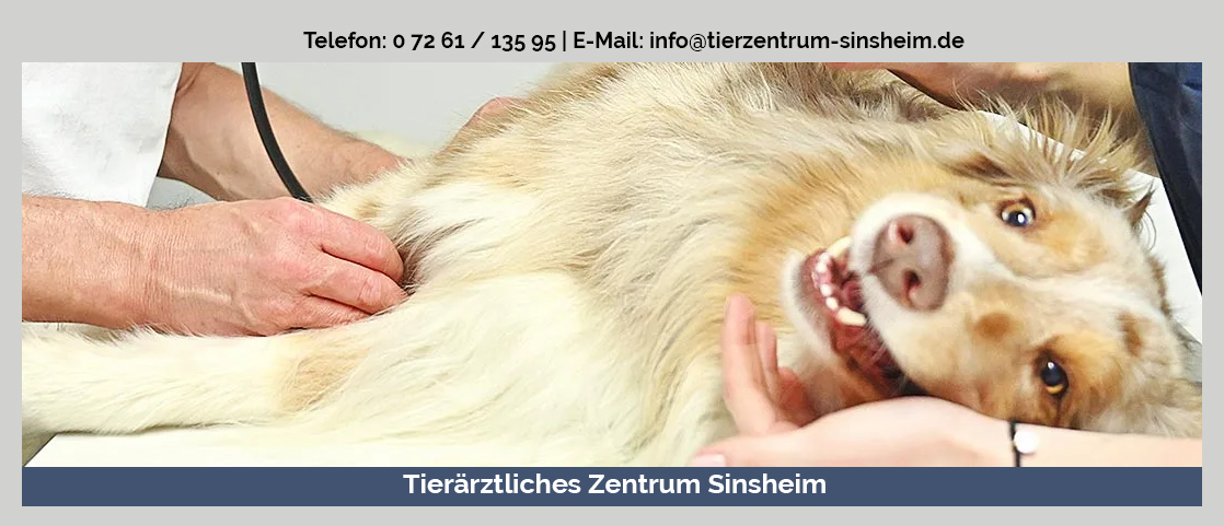 Tierarzt Finck Sinsheim, Tierärztliches Zentrum Sinsheim