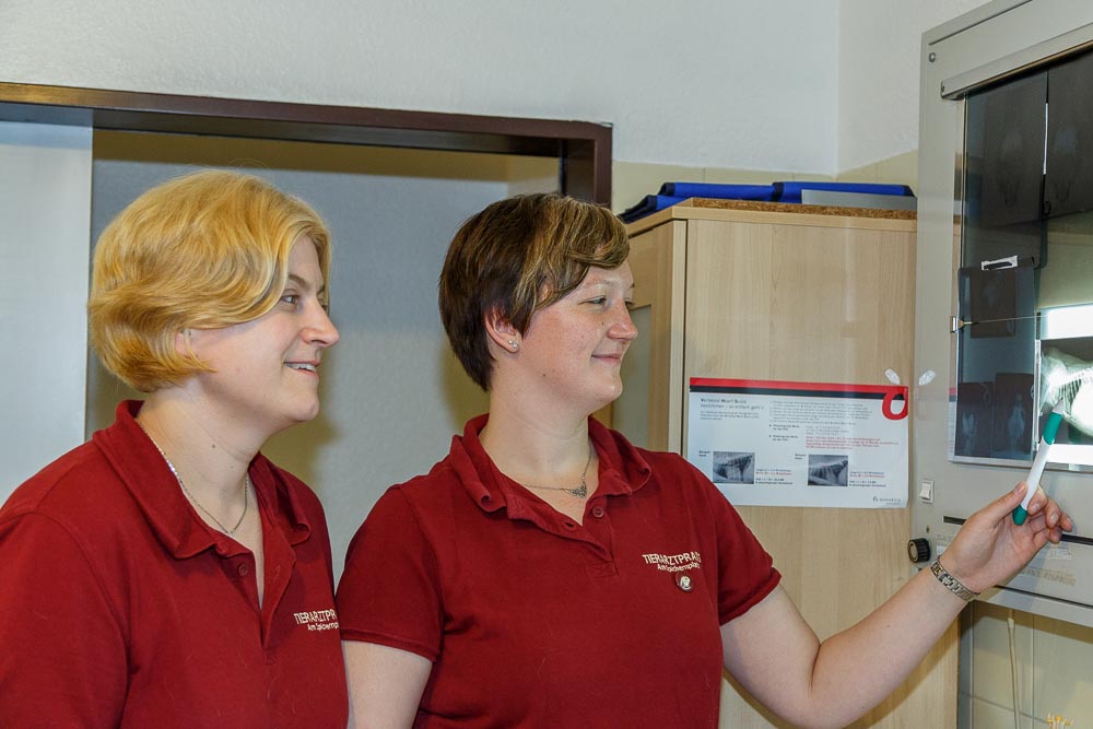 Dr.med.vet. Daniella Schäfer Tierärztin