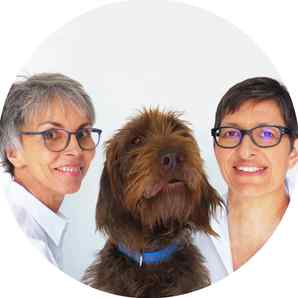 Dres. med. vet. Christiane Schiele & Kathrin Schepers