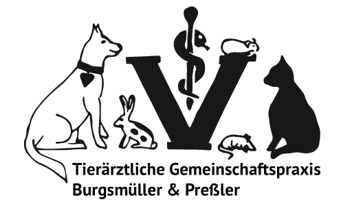 Heiner Schenk, Tierarzt