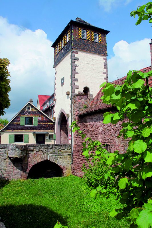 Schwarzwald-Tierklinik GmbH