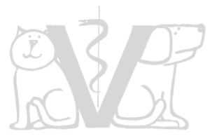 Dr. med. vet. Hellen Bammel Tierärztin