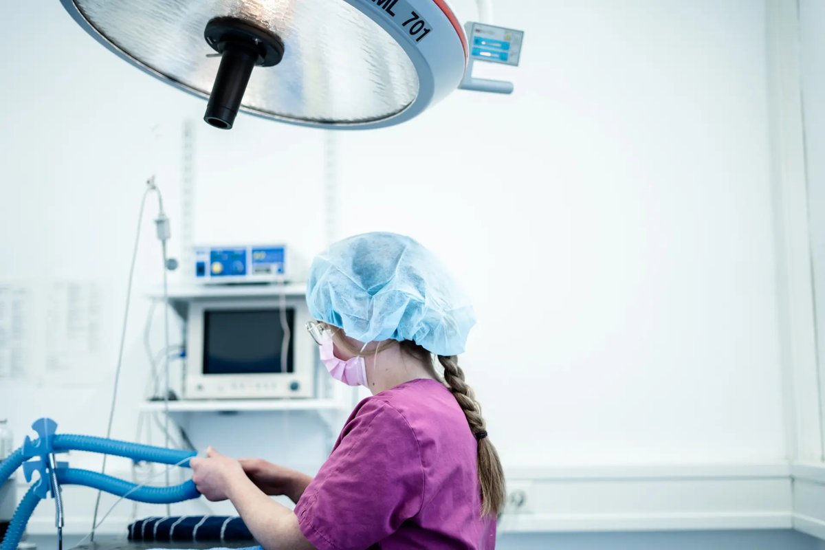 Tierärztliche Gemeinschaftspraxis Dr. Wetzel u. Dr. Kohler Tierärzte