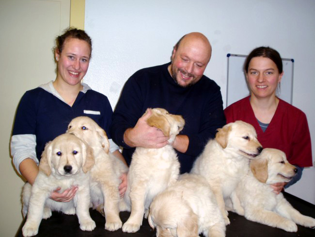 Tierarztpraxis Dr. med. vet. Thomas Rauscher
