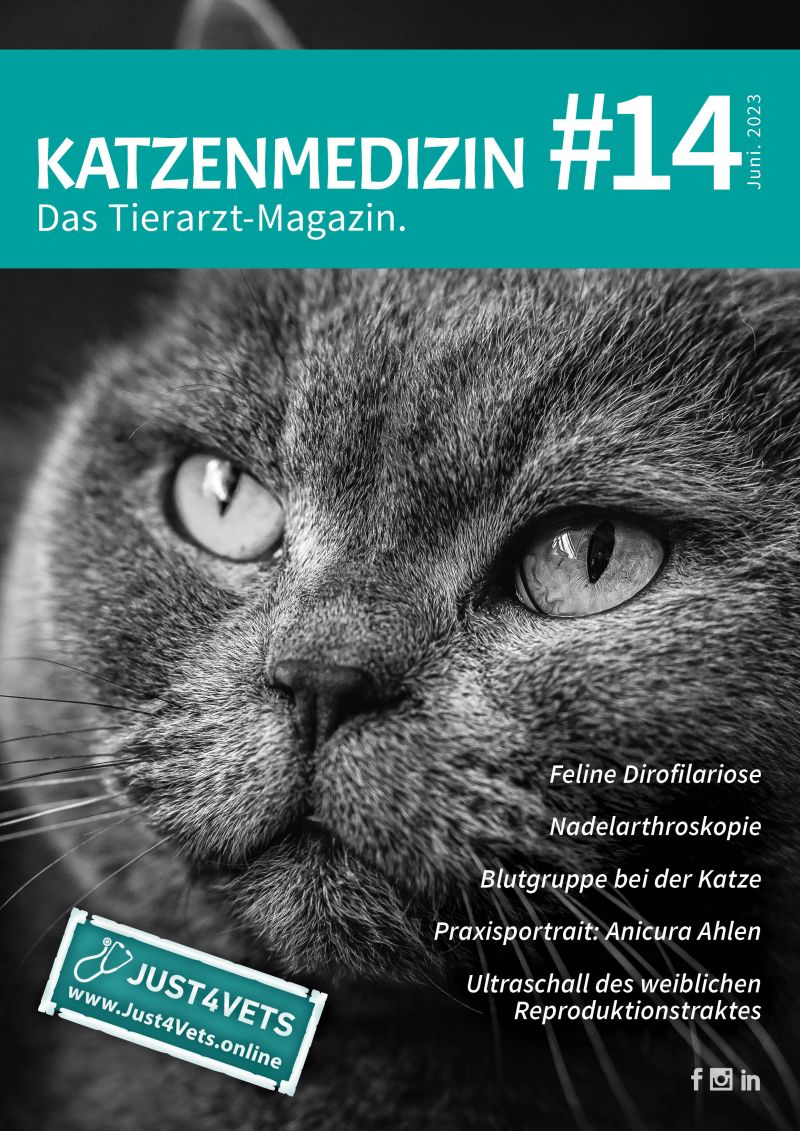 Zentrum für Tiergesundheit, Tierarztpraxis