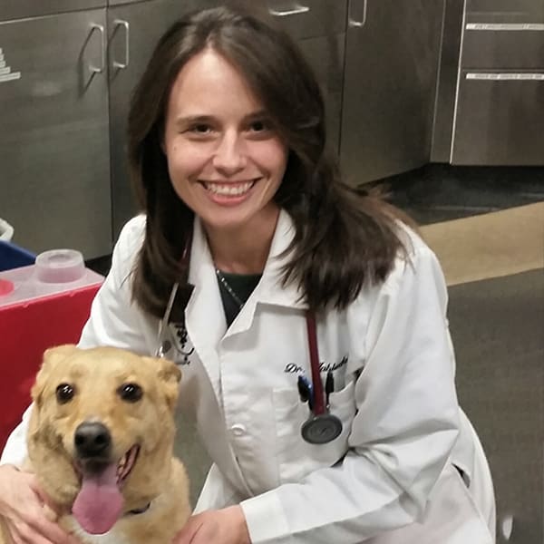 Dr. med. vet. Margarethe Köbnick