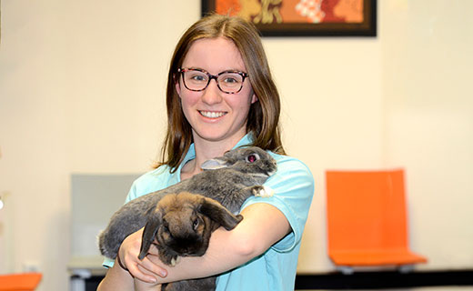 Kleintierpraxis Dr. Yvonne Villforth