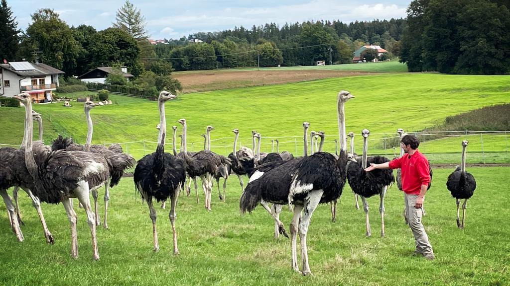 Tierklinik Dr. Reif