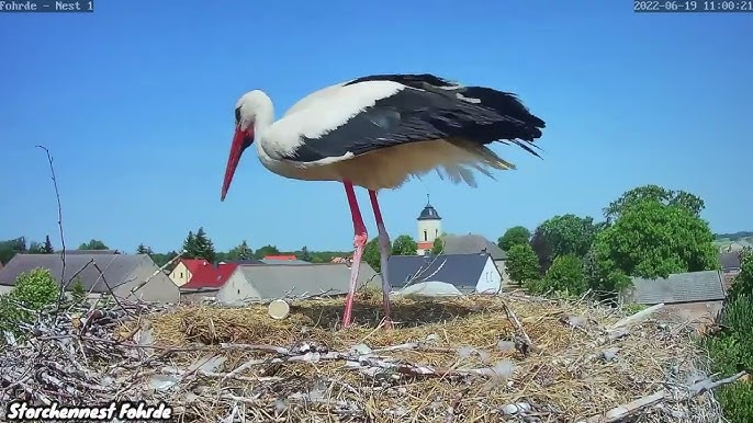 Tierklinik Blaichach