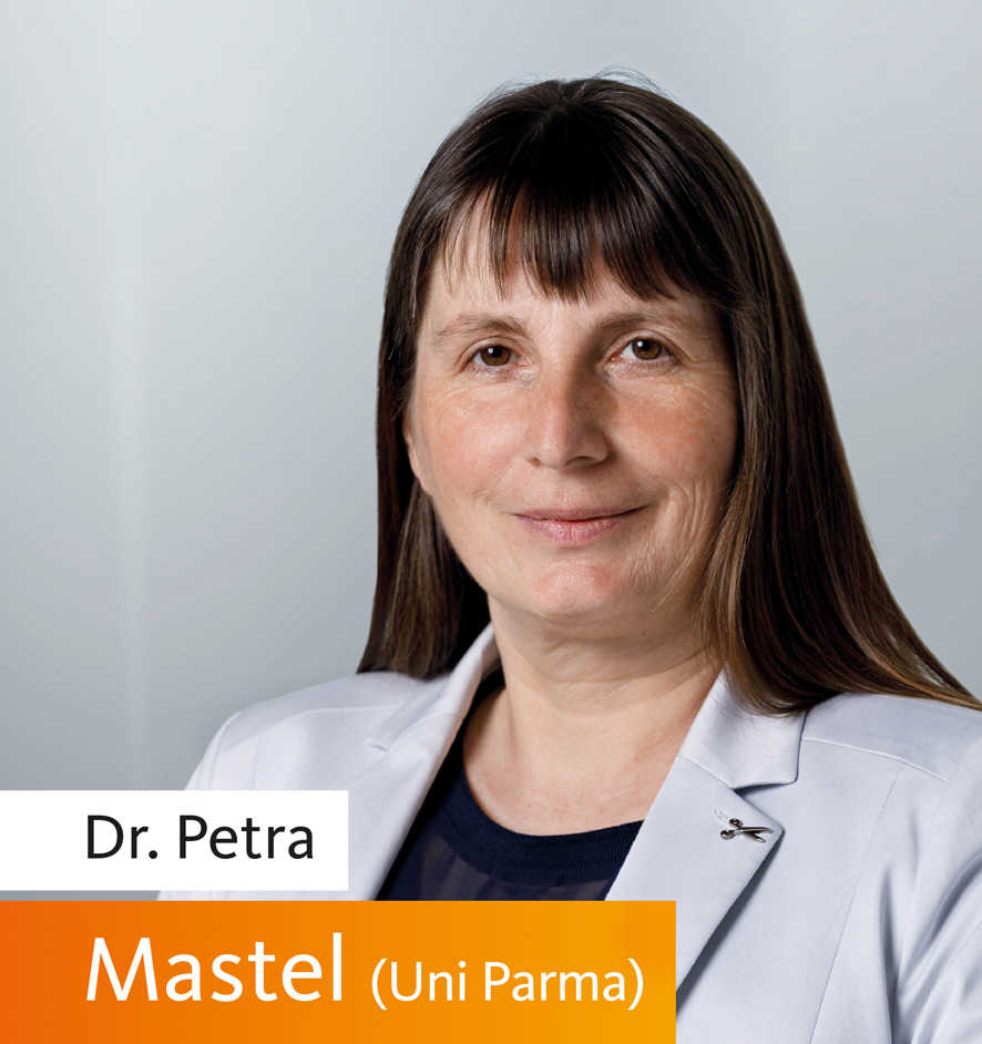 Dr. Petra Mastel