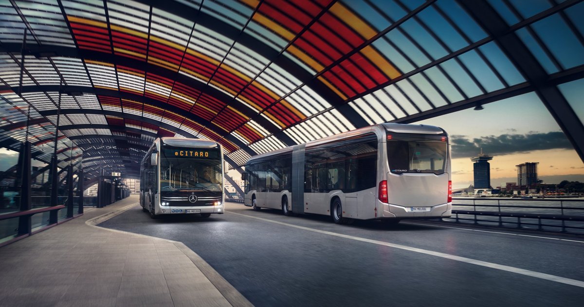 Buss Thomas Dr.med.vet.