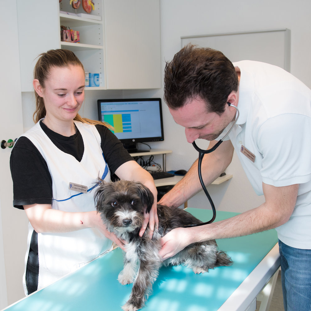 Kleintierklinik Am Sonnenberg