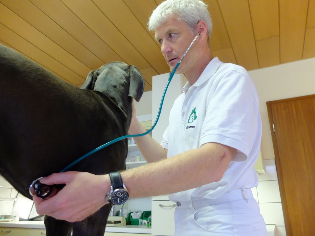 Tierärztliche Fachpraxis Dr. Michael Hartmann
