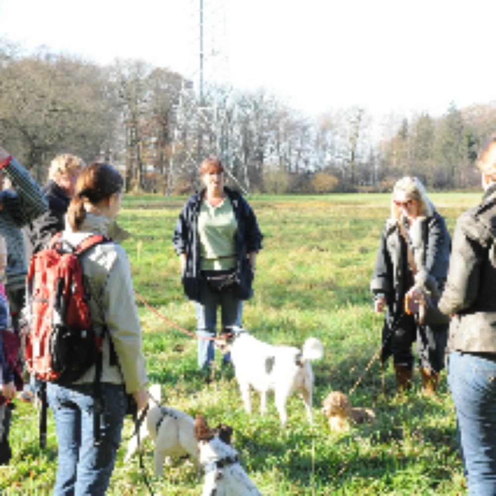 Tierarztpraxis Scherzingen