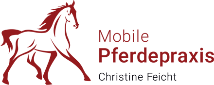 Praxis für Kleintiere und Pferde