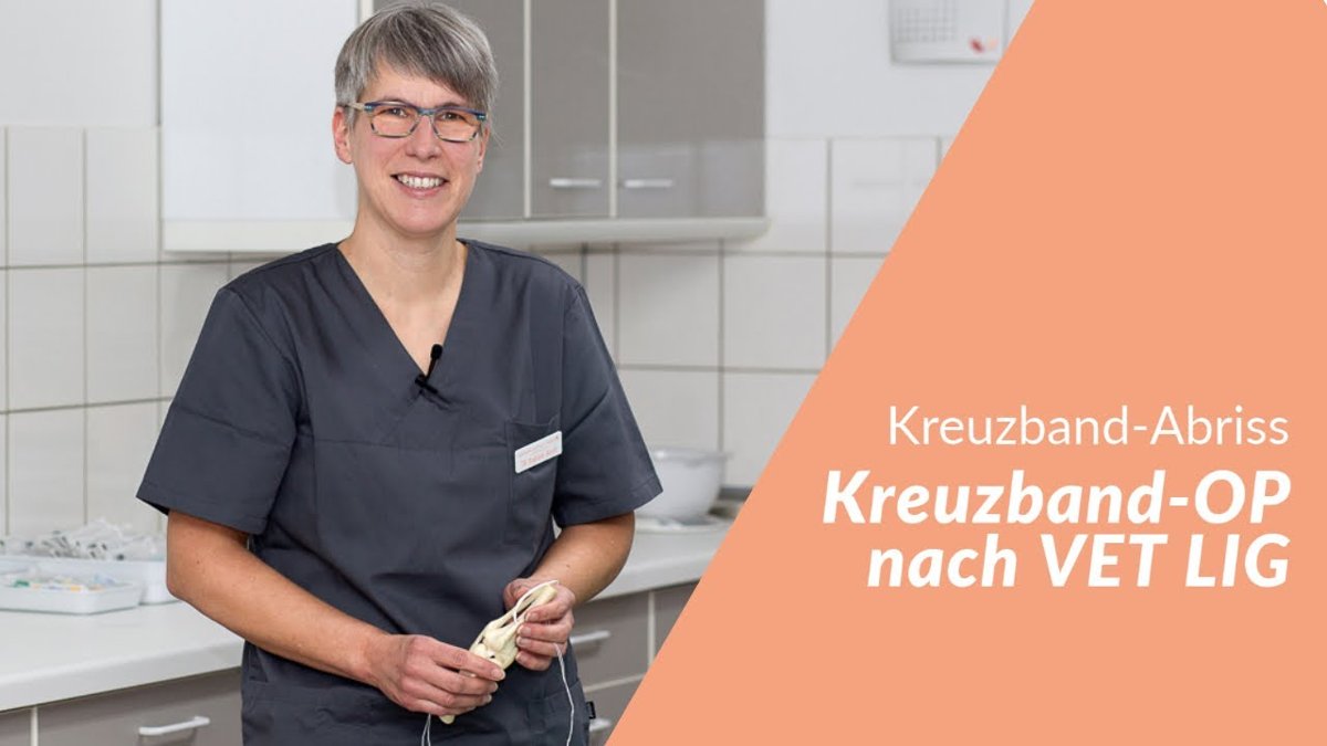 Tierklinik am Scheibenberg Preuß