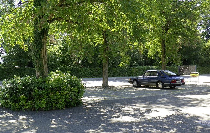 Tierklinik Steig-Breite