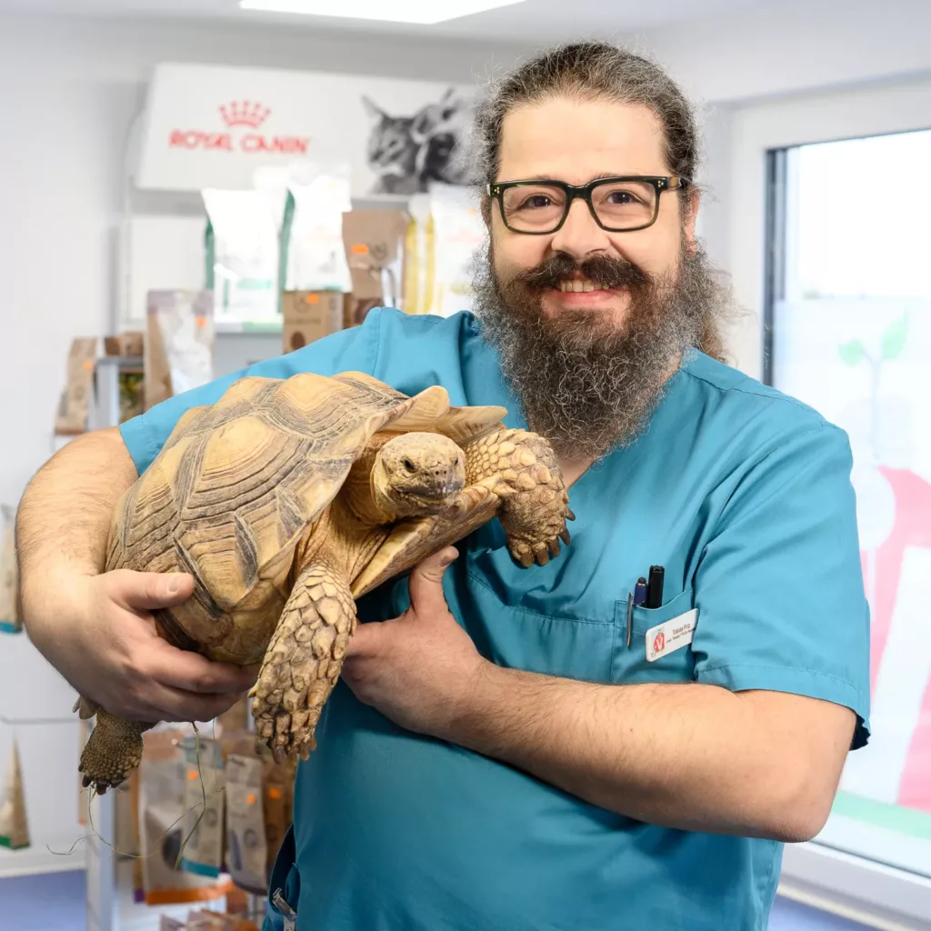 Tierärztliche Gemeinschaftspraxis Dr. Natalie Steidele & Tobias Friz GbR