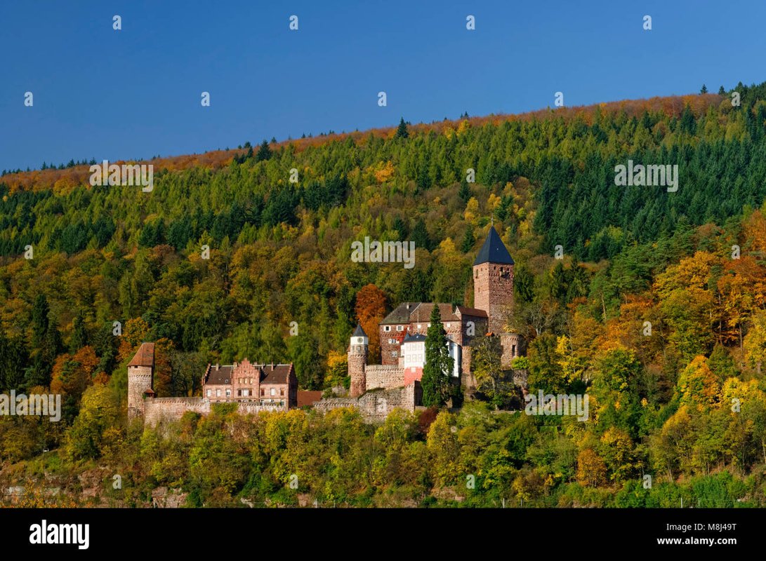 Kleintierzentrum Neckar-Odenwald