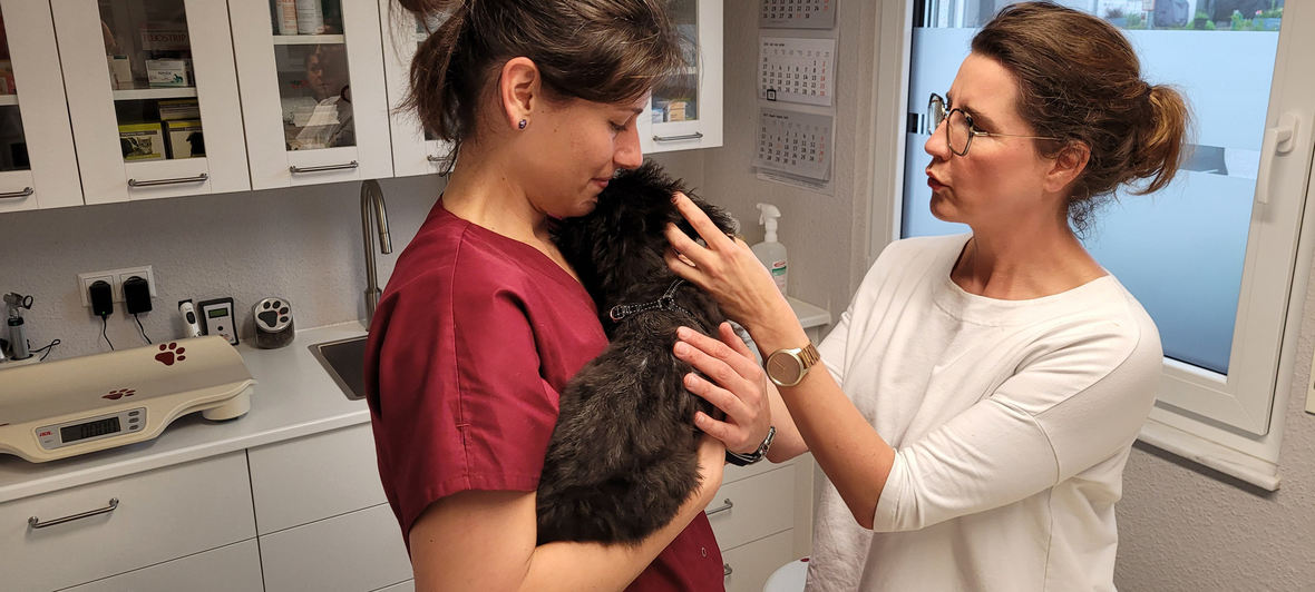 Tierarztpraxis Dr. med. vet. Eva-Maria Harré-Molineux