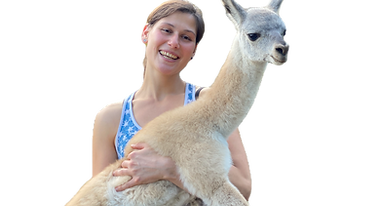 Tierarztpraxis Dr. med. vet. Eva-Maria Harré-Molineux