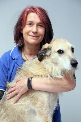 Dr.med.vet. Anja Zolke Tierärztin