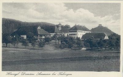 Pferde- und Kleintierpraxis Domäne Ammerhof