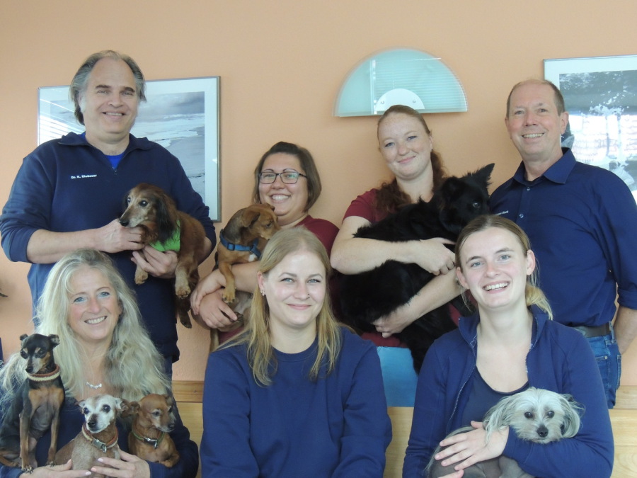Tierärztliche Gemeinschaftspraxis Dr. Elsässer & Keck