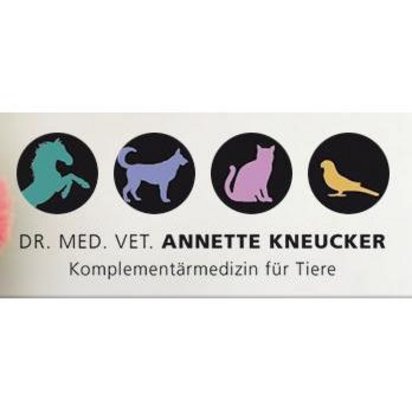 Tierarztpraxis Dr. med. vet. Antje Hoeksma