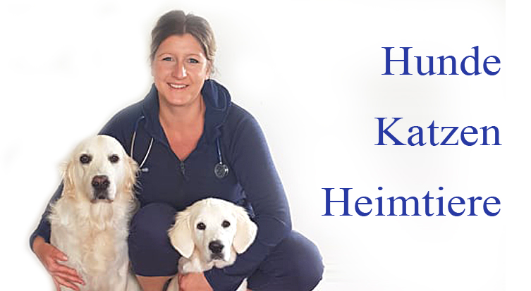 Tierarztpraxis Dr. med. vet. Antje Hoeksma