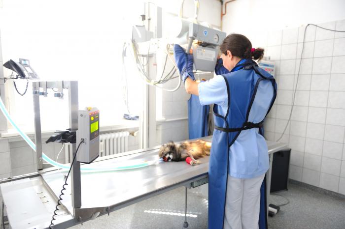 AniCura Tierklinik Stuttgart Plieningen