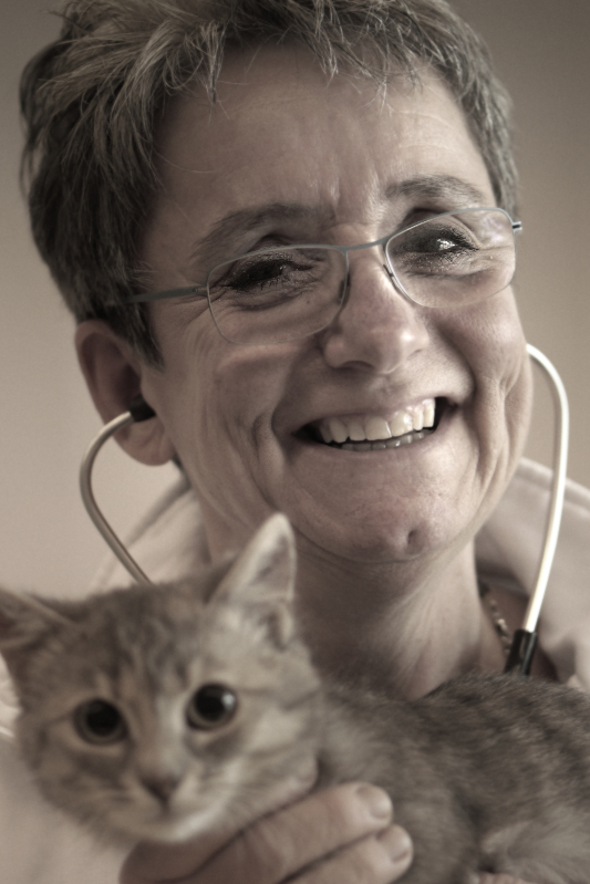 Dr. Rothfritz & Dr. Vorlaender