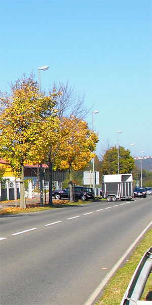 Dr.med.vet. Achim Reusch Tierarzt