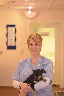 Dr.med.vet. Arnim Stooss Tierarzt