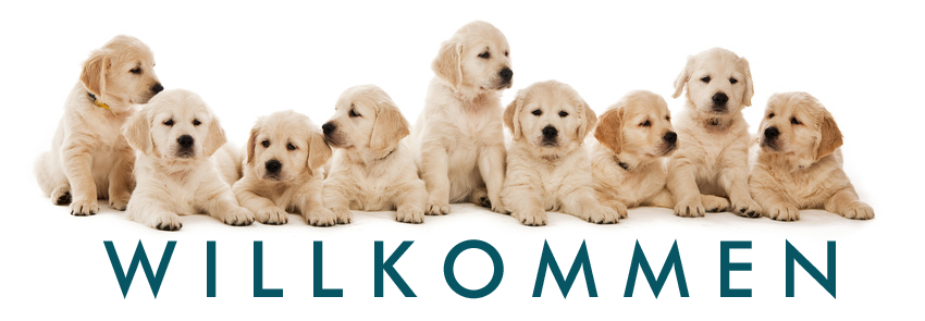 Kleintierpraxis am Aischbach, Dr.med.vet. Simon