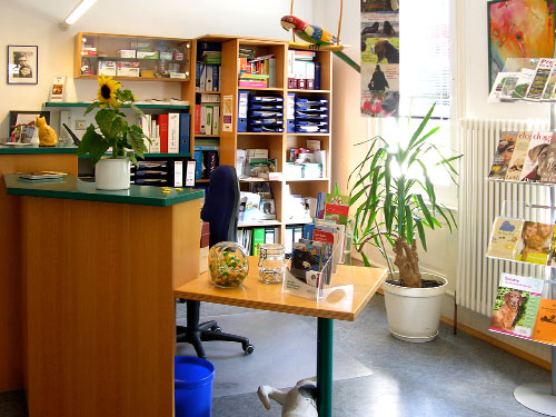 Dr. med. vet. Katja Baumer Tierärztin